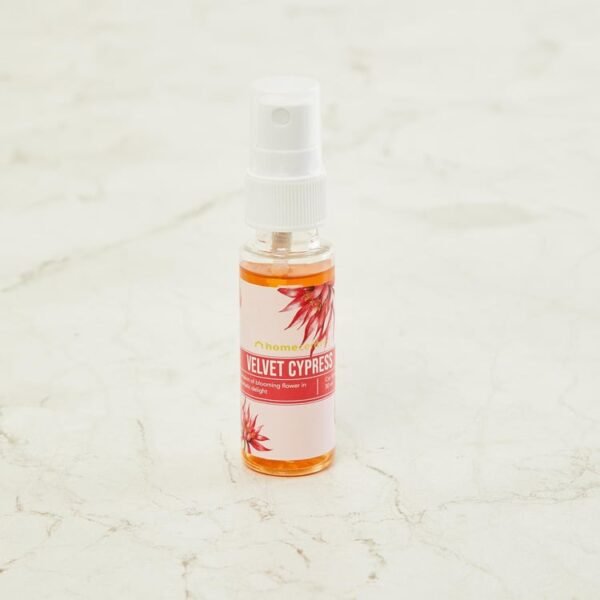 AMBI CAR SPRAY